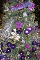 purple-tree