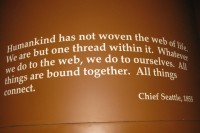 chief-seattle-quote