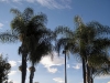 oceanside