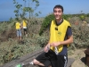 working
