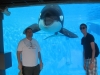 bs-shamu